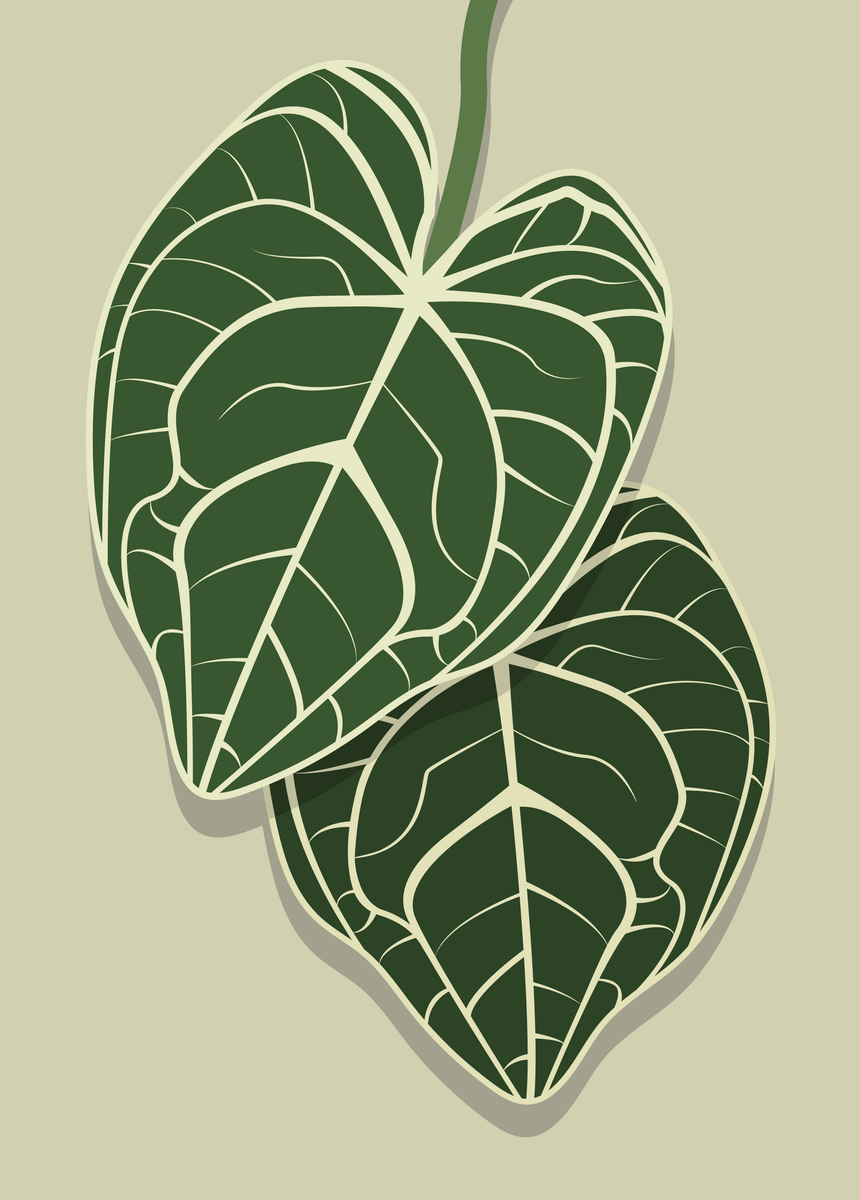 yisual - Poster - Anthurium Growth Beige