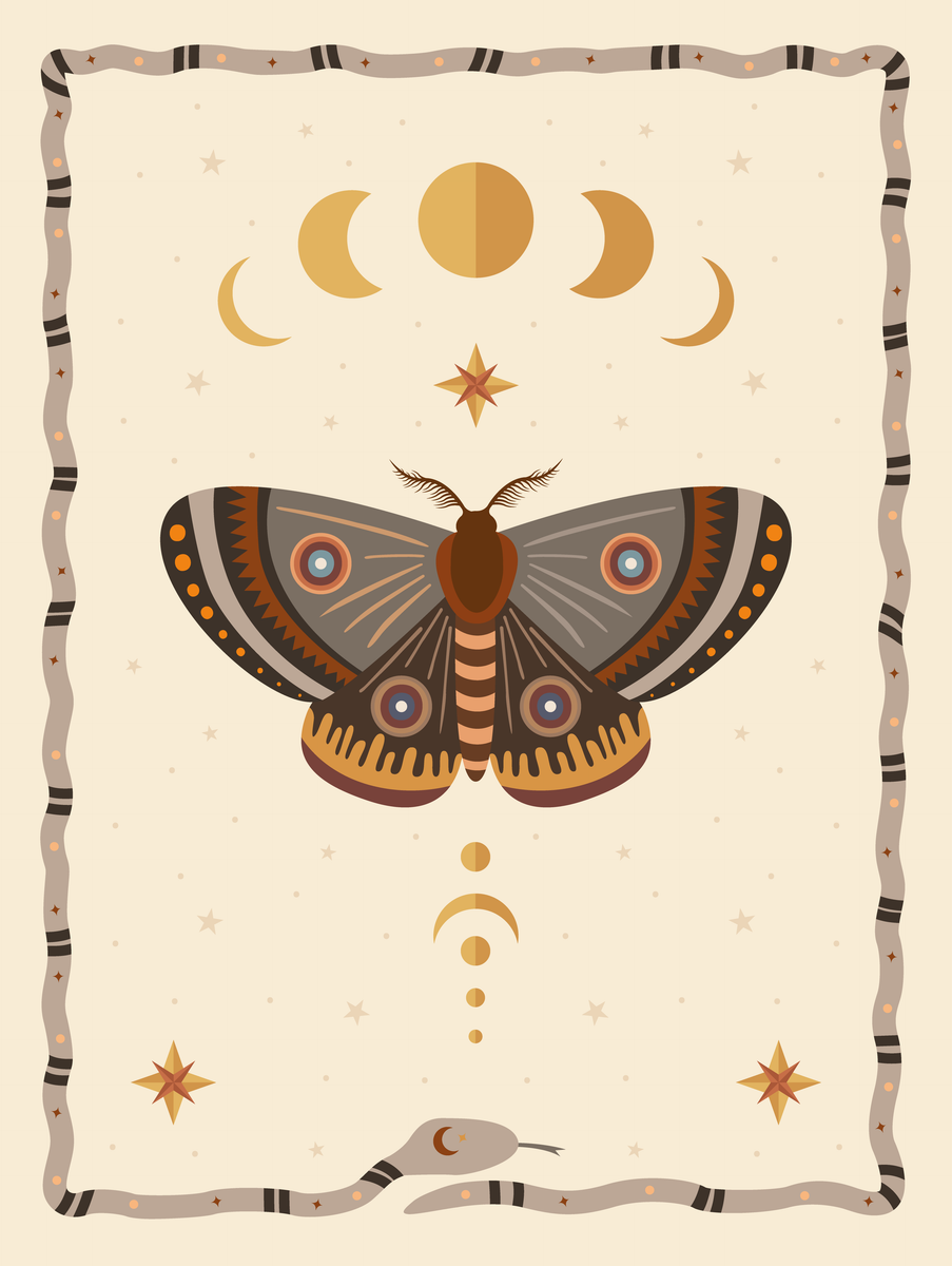 yisual - Poster - Lunar Butterfly Grey
