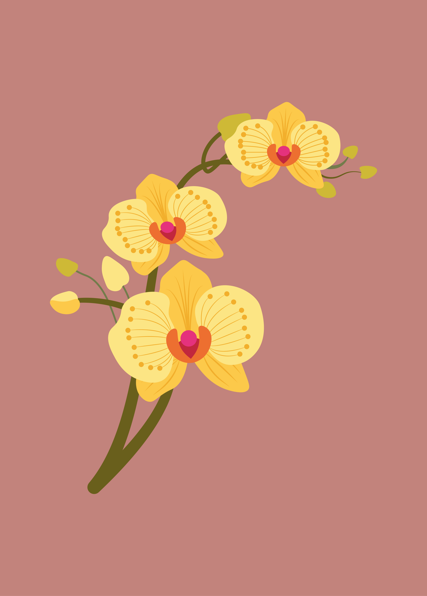 yisual - Poster - Lovely Orchid Yellow