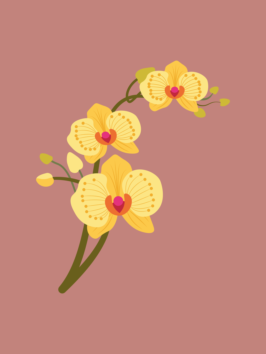 Poster - Lovely Orchid Yellow