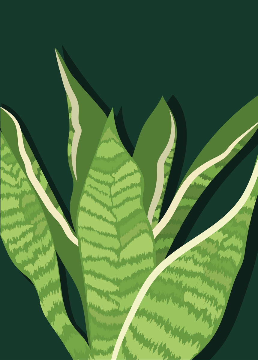 yisual - Poster - Signature Sansevieria Green