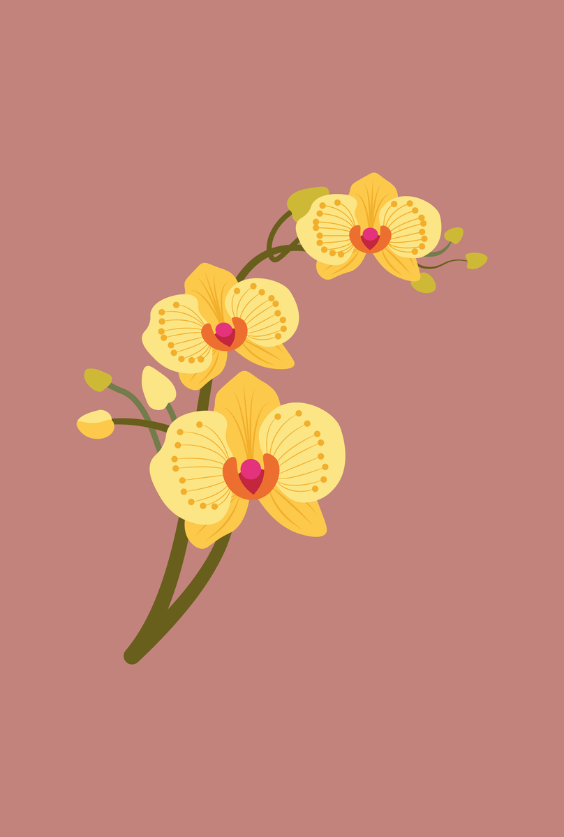 Poster - Lovely Orchid Yellow