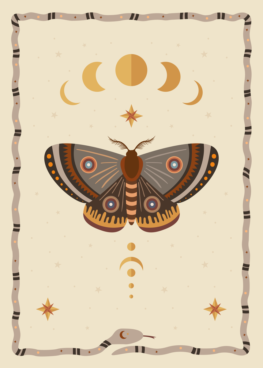yisual - Poster - Lunar Butterfly Grey